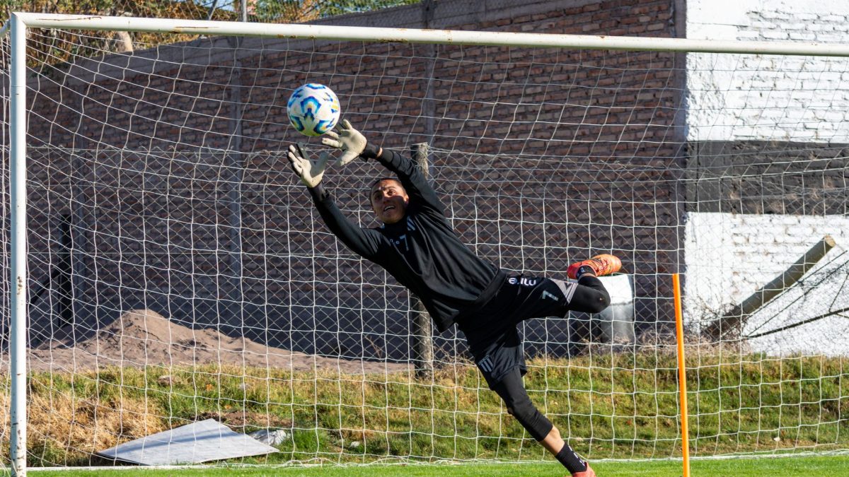 Tim Krul: How Steve Harper and Shay Given shaped my Newcastle education