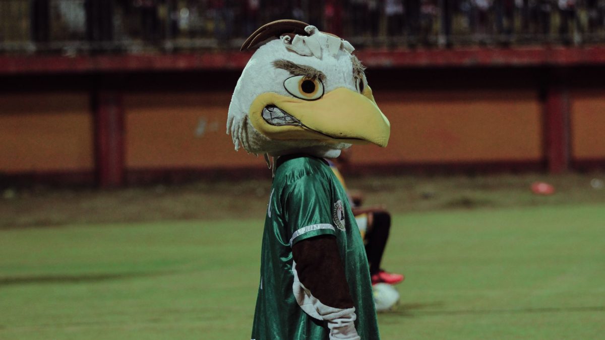 Nice’s eagle mascot Mefi soaked by rogue sprinkler before Roma defeat